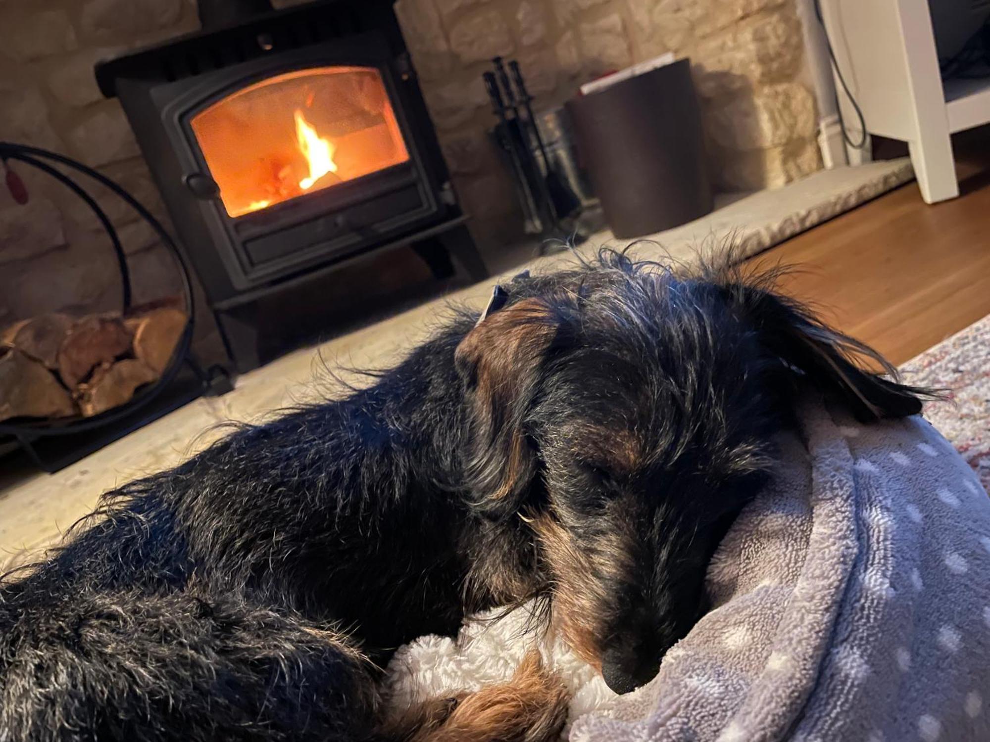 Cosy Cotswold Lodge By Your Home Here - Summer Sale For 3 Plus Nights - Ideal For Families With Log-Burner, Spa, Private Parking And Heated Swimming Pools Ashton Keynes Zewnętrze zdjęcie